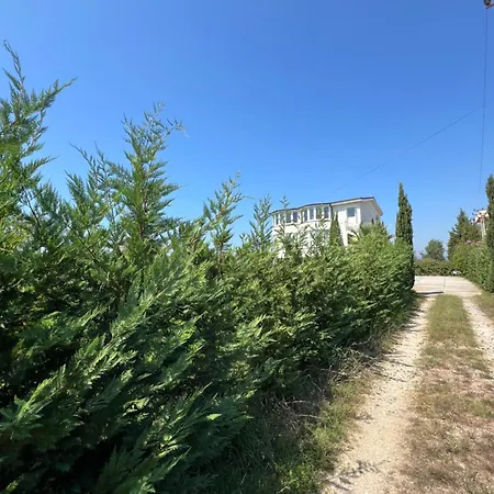 The White Homestay szállás