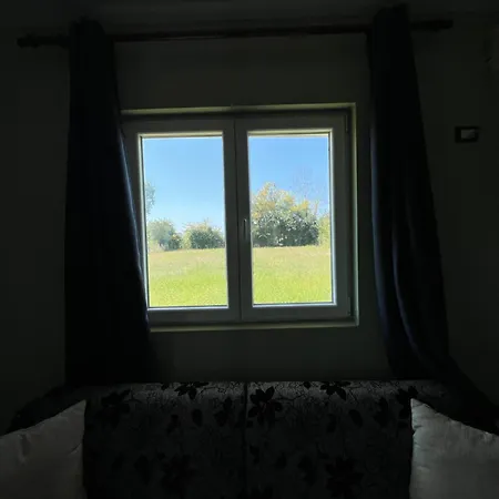 The White * Hamallaj