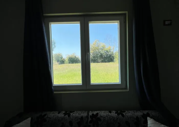 The White * Hamallaj